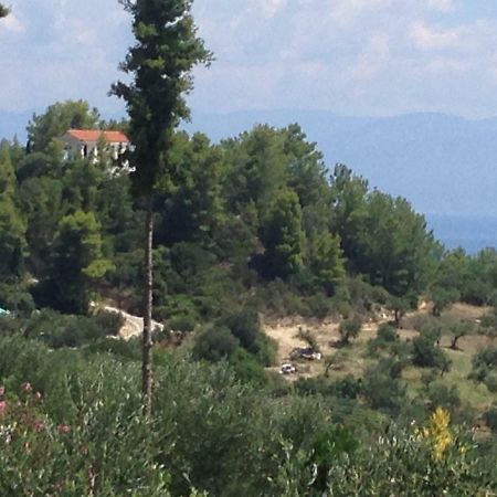 Villa Nadia Vunária Kültér fotó
